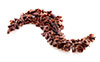esempio prodotto bean to bar line E